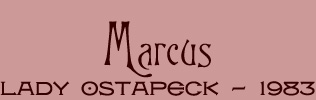 Marcus Title